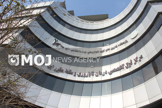 بخشی نگری برخی متخصصان، یک چالش مهم در حوزه تولید مثل است