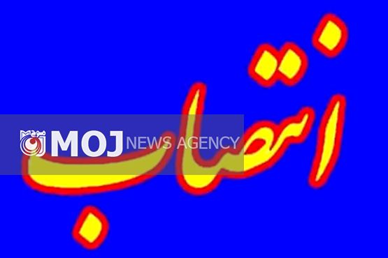 مشاور امور مجلس دبیرخانه شورای عالی مناطق آزاد منصوب شد