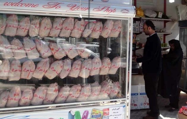 کاهش قیمت مرغ در آستانه عید فطر / کنترل بازار توسط مرغهای منجمد