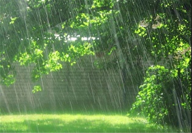 سالانه ۷۰ درصد منابع آبی کشور تبخیر می شود