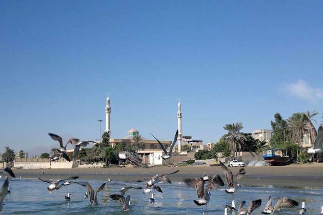 طرح بومگردی در ساحل سورو بندرعباس اجرا می شود