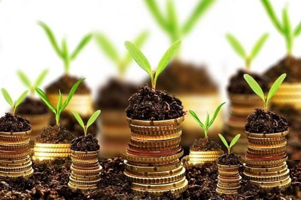 شرکتهای دانشبنیان تسهیلات دریافت می کنند/ نرخ سود تسهیلات شرکت های دانش بنیان