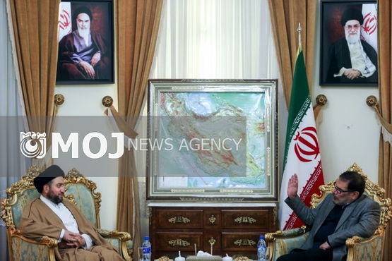 ایران به همکاری مستشاری با عراق و سوریه ادامه میدهد