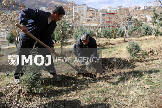 آغازعملیات احداث 3هزار متر مربع فضای سبز در بلوار 22 بهمن شهرک بهاران