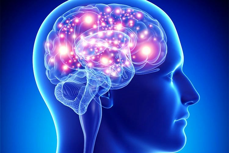 عملکرد مغز با اندکی ورزش بهبود می یابد