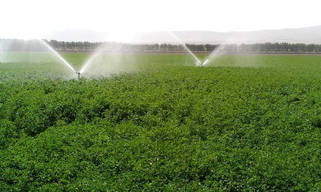 ۲۶۰ هزار هکتار از اراضی اصفهان تحت آبیاری تحت فشار است