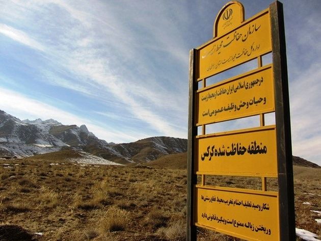 صدور حکم قطعی قضایی برای چرای غیر مجاز دام در منطقه حفاظت شده کرکس
