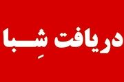 دریافت شماره شبا تمامی بانک های کشور/ یک کلیک تا دریافت شماره شبا