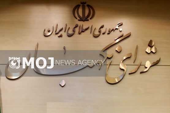 شورای نگهبان به اصلاح موادی از قانون اجرای سیاستهای کلی اصل ۴۴ ایراد گرفت