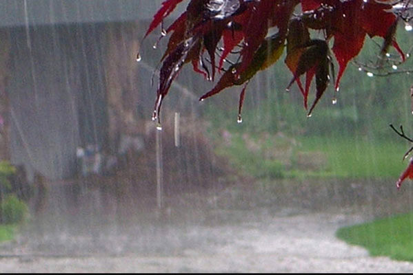 اعلام آماده باش استاندار گیلان به دستگاه های اجرایی