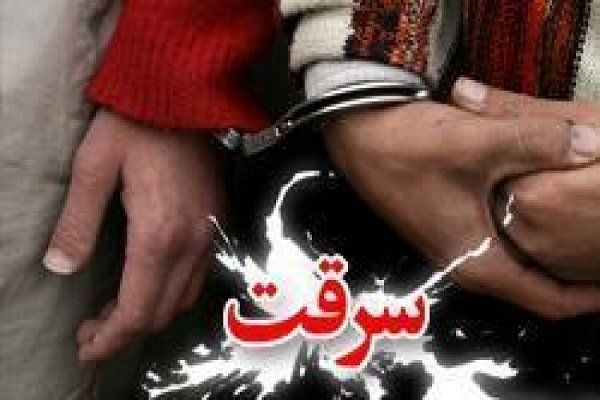 تکذیب شایعه آدمربایی در علیآباد/هدف سرقت طلا بوده است