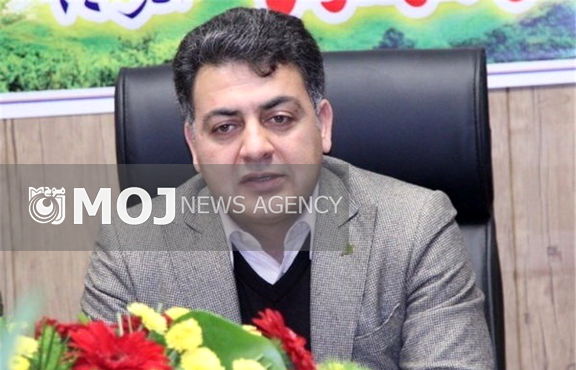 سقف قرارداد موضوعی خانوادگی است