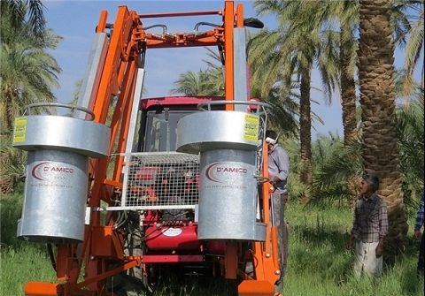 ماشین برداشت خرما به تولید انبوه میرسد