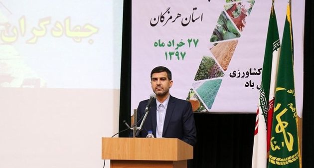 صنعت مرغداری هرمزگان در حال نابودی است/ کشاورزان دلشان خون است