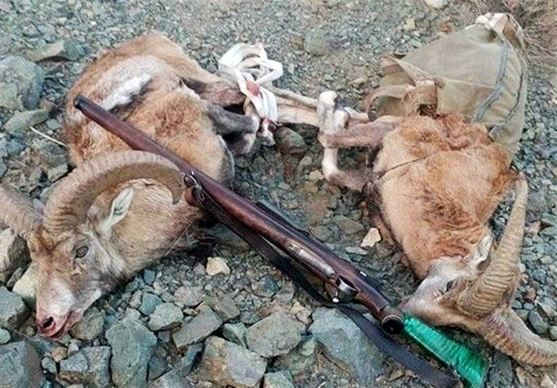 7 شکارچی متخلف پس از 72 ساعت تعقیب و گریز در سفیدکوه خرمآباد دستگیر شدند