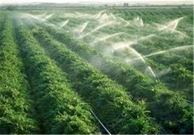 روشهای آبیاری اراضی کشاورزی استان اصفهان اصلاح میشود