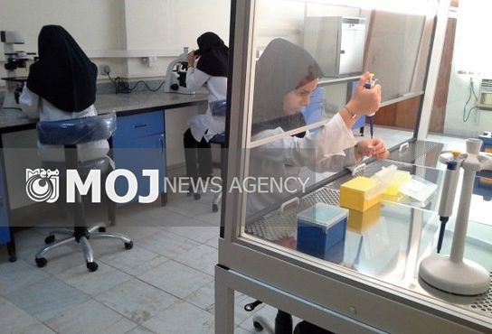 برخورد غیر علمی نظام پزشکی با فارغالتحصیلان میکروبیولوژی