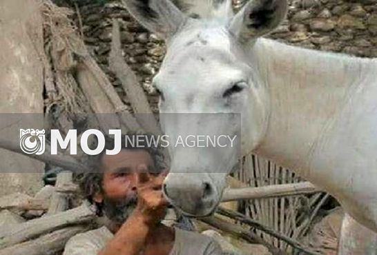 راهیابی مستند «خر» به جشنواره استونی