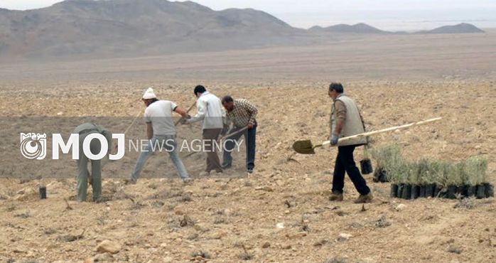 از یک دبستان در راستای اجرای طرح ترسیب کربن بهرهبرداری شد