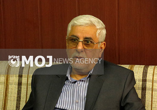 هانی زاده: عراق در شرایط کنونی نیاز به آرامش سیاسی دارد