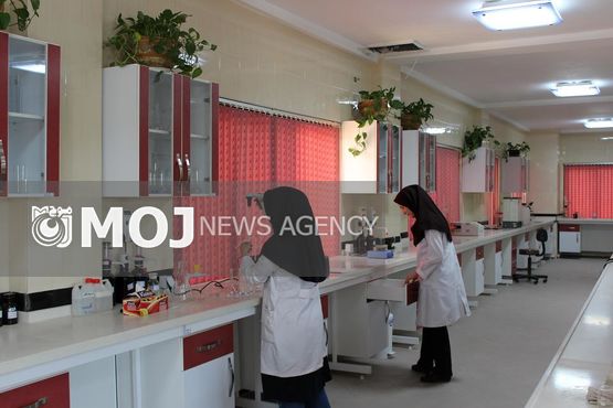 از نرم افزار رتبه بندی شرکت های تجهیزات آزمایشگاهی رونمایی شد