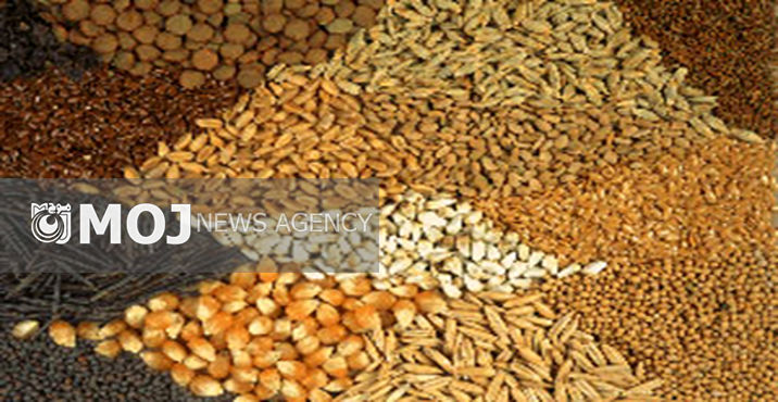 خرید ۳۰ هزار و ۴۳۵ تن محولات کشاورزی در گیلان