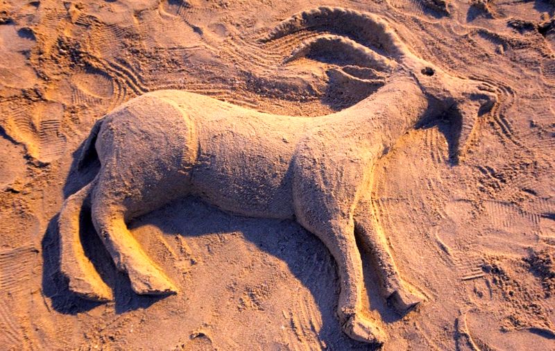 برگزاری جشنواره مجسمه های شنی در جاسک