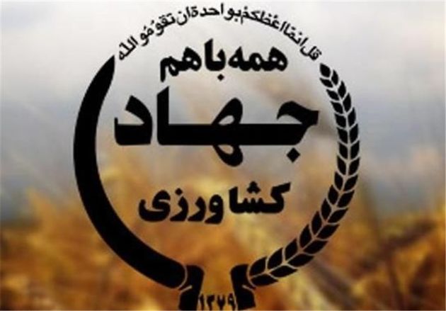 ۲ هزار و ۴۳۶ پروژه کشاورزی در هفته دولت افتتاح میشود