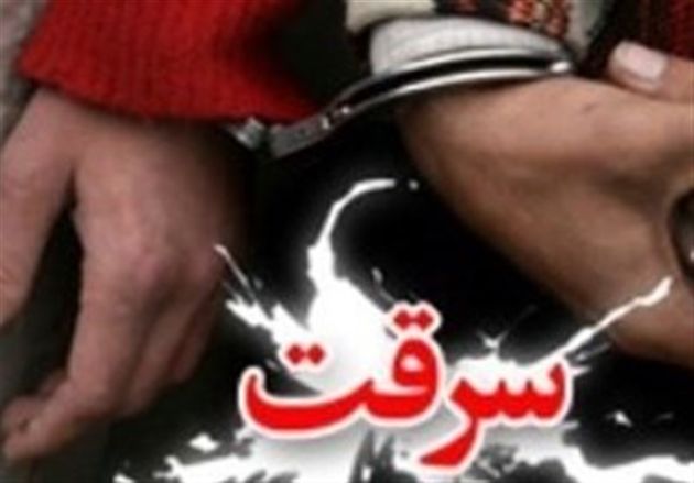 سارق سابقهدار در استان گلستان دستگیر شد/اعتراف به ۲۵ فقره سرقت