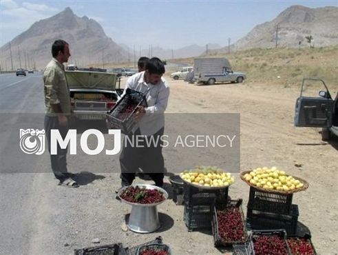دستفروشان حاشیه محور مشهد - کلات جمعآوری شدند