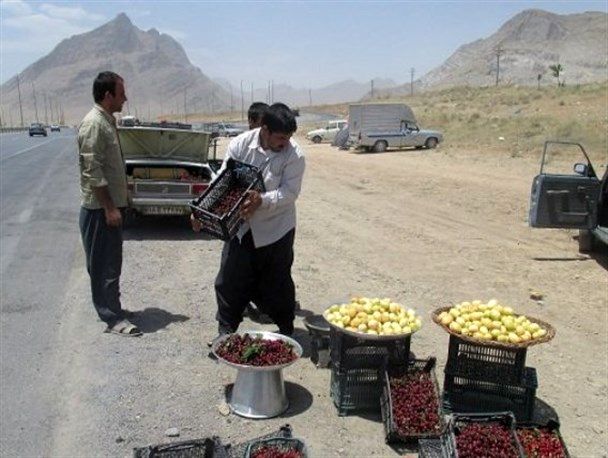 دستفروشان حاشیه محور مشهد - کلات جمعآوری شدند
