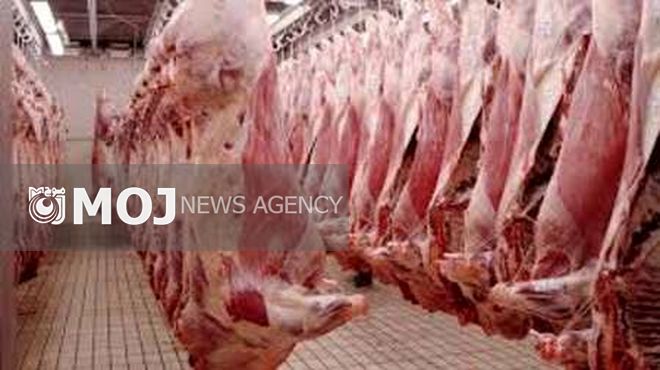 توافق صادرات گوشت و ماهی از روسیه به ایران نهایی شد