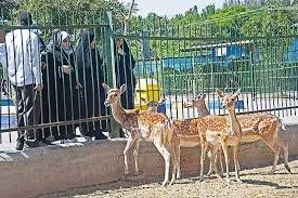 4 مرکز فاقد مجوز نگهداری از حیات وحش پایتخت