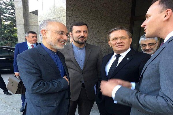 رئیس سازمان انرژی اتمی با همتای روس خود دیدار کرد