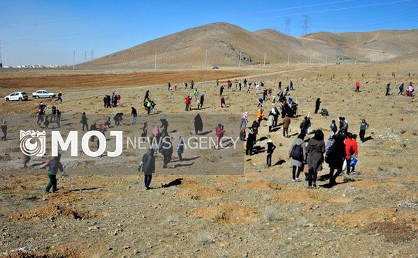 ۳۵ هنرمند نقاش به بیابانهای سمنان میروند
