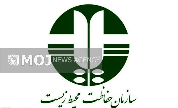 استفاده از طرحها و ایدههای خلاقانه محیطزیستی در زمینه انرژی