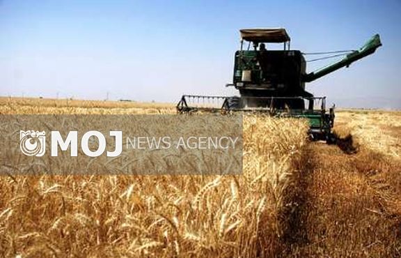 آخرین وضعیت خرید گندم از کشاورزان لرستانی