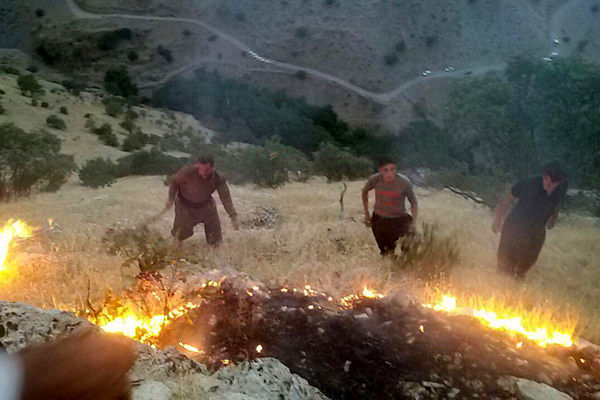 وقوع چهار آتشسوزی در شهرستانهای گلستان