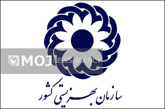 دختران کمتر از ۲ سال در اولویت فرزندخواندگی های سازمان بهزیستی