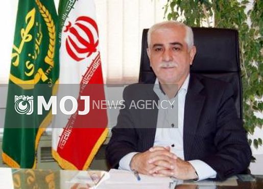 مازندران ۶ میلیون تن تولید محصولات کشاورزی دارد