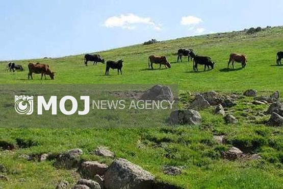 حفاظت از محیط زیست بدون مشارکت مردم راه به جایی نخواهد برد