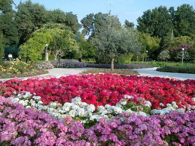جشنواره گلهای لاله در باغ گلهای اصفهان برگزار می شود