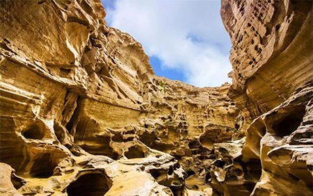 قشم، نهگ آرمیده در تنگه ی هرمز