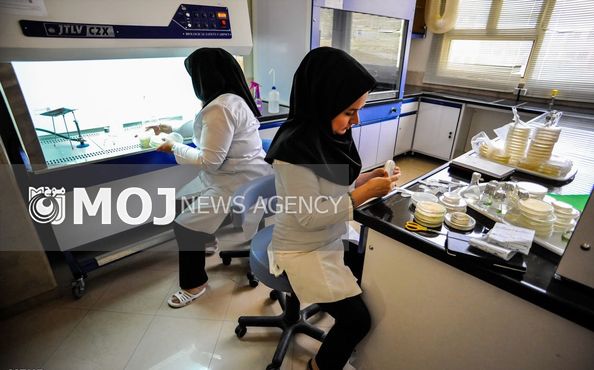 تک محصولی بودن از ضعف های اغلب شرکت های دانش بنیان است