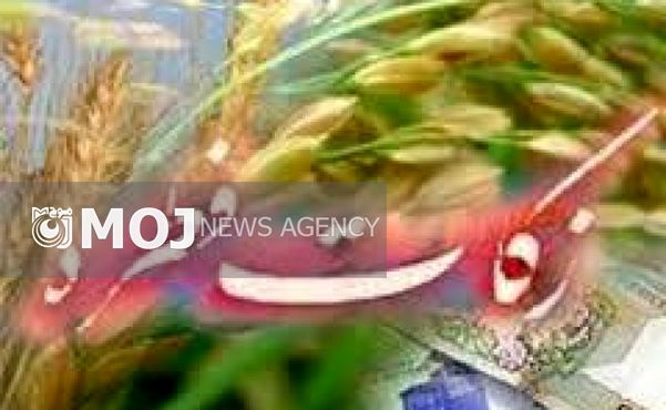 بیش از ۱۹ میلیارد و ۶۱۴ میلیون ریال فطریه و کفاره در پایتخت جمع آوری شد