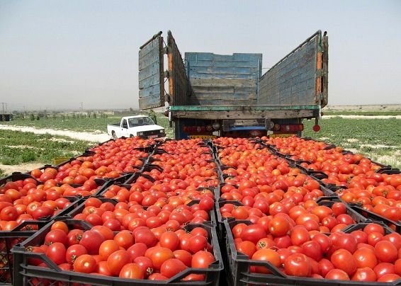 صادرات بیش از یکمیلیون تن محصولات کشاورزی از کرمانشاه