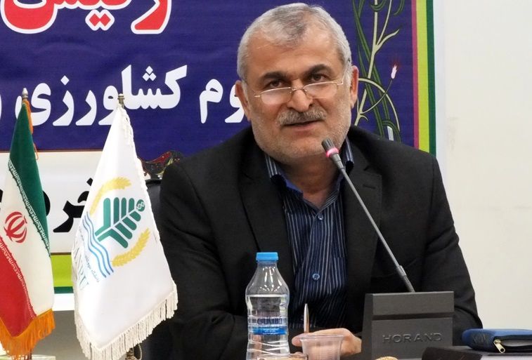 رفع نیازهای داخلی از طریق تولیدات بومی و دانشگاهی در شرایط کوتاه محقق نمی شود