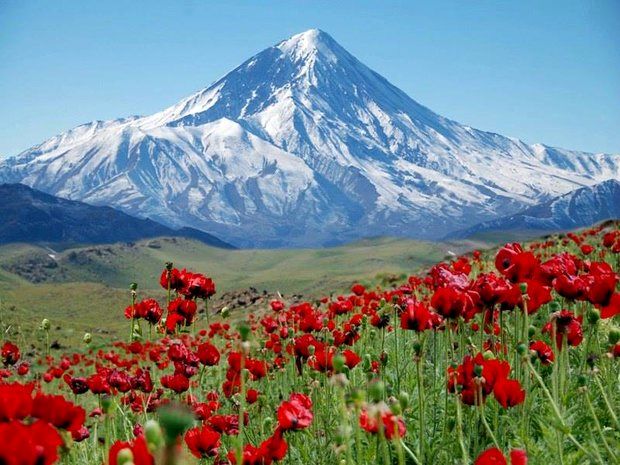گسترش ساخت وسازهای غیرمجاز در دامنه شمالی دماوند