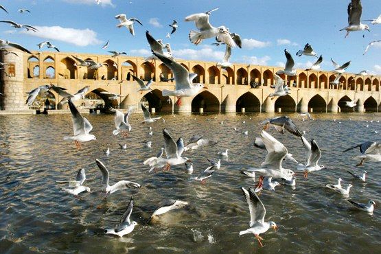 زمان بازگشایی زاینده رود پایان آبان مشخص میشود