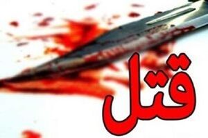 سرقت و خصومت شخصی اولین اطلاعات به دست آمده
